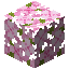 Cerezos