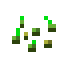 WHEAT_SEEDS